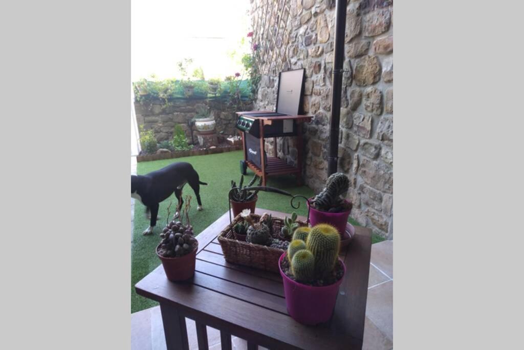 הוילה Casa Con Vistas En Ucieda מראה חיצוני תמונה